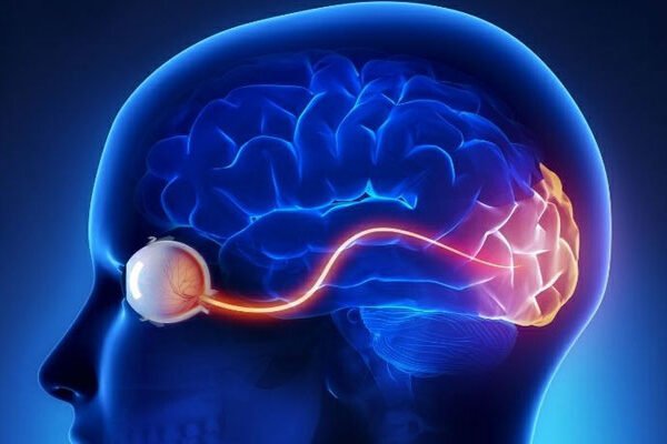 عصب جمجمه‌ ای