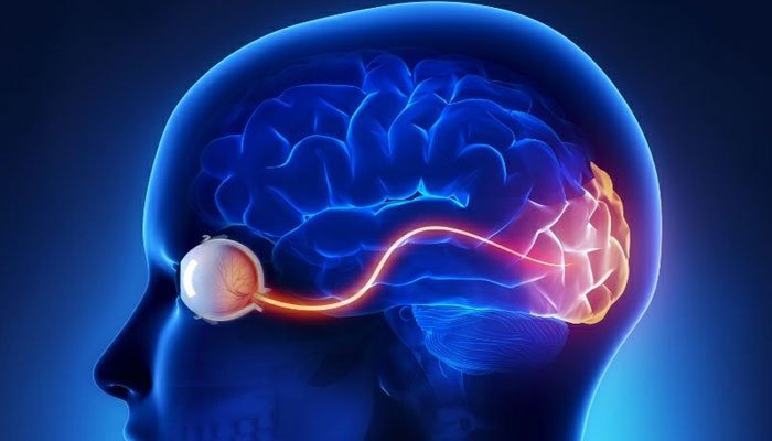 عصب جمجمه‌ ای