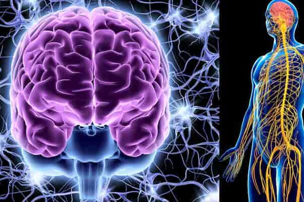 عارضه کرنیوکتونوس